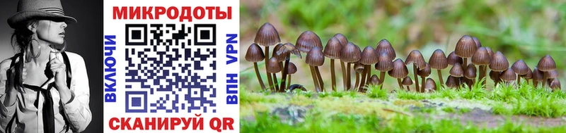 где продают наркотики Кирс Псилоцибиновые грибы мухоморы